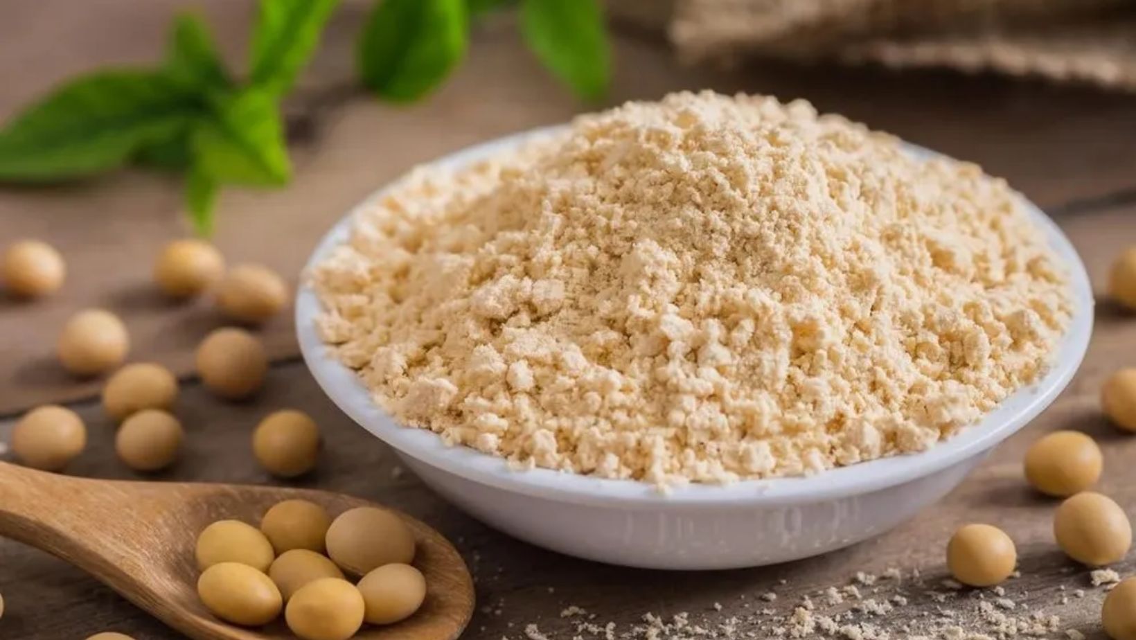 A Guide to Soy Protein Concentrate